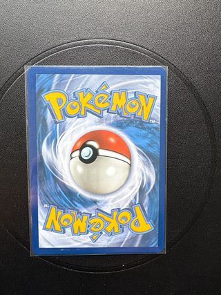 Misty's Determination 108/108 Trainer Card