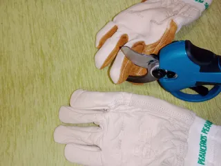 Guantes de poda para zurdos