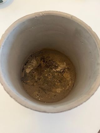 Maceta de cemento con diseño mandala