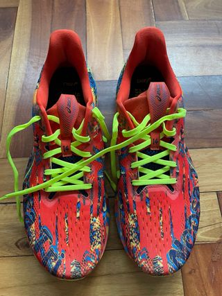 Asics Noosa Tri 14 Zapatillas Multicor