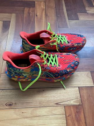 Asics Noosa Tri 14 Zapatillas Multicor
