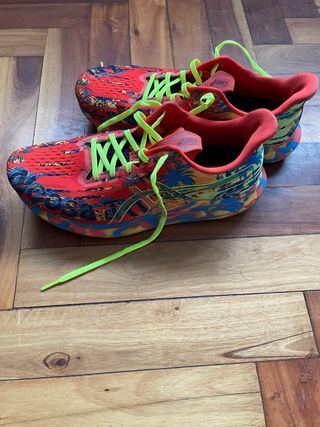 Asics Noosa Tri 14 Zapatillas Multicor
