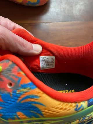 Asics Noosa Tri 14 Zapatillas Multicor