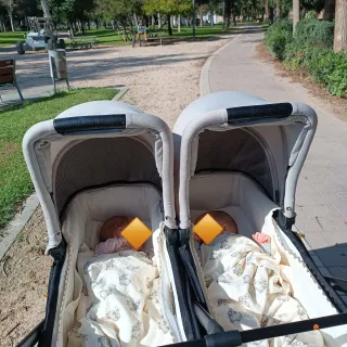 2 Capazos Baby Monster Easy Twin 4