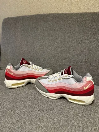 Nike Air Max 95 Anatomy Of Air Talla 43