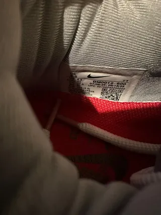 Nike Air Max 95 Anatomy Of Air Talla 43