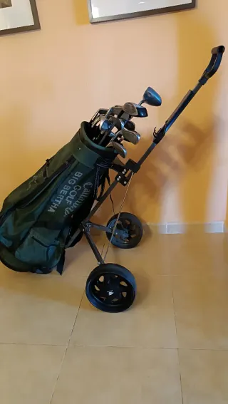 Palos, bolsas, carro y bolas golf