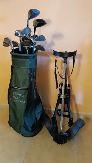 Palos, bolsas, carro y bolas golf