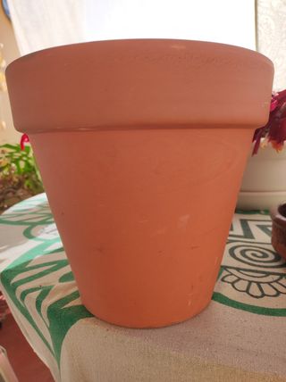 Maceta de barro