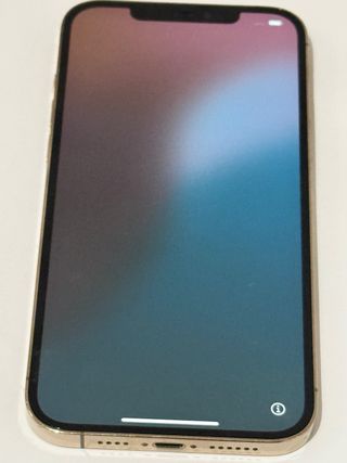 iPhone 12 Pro Max Oro/Plata