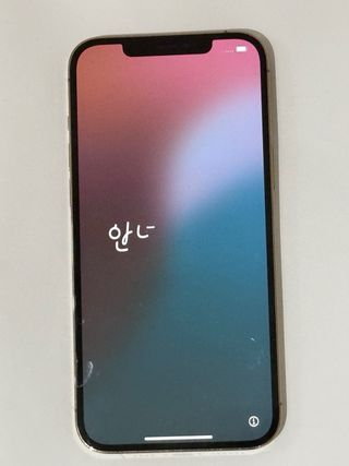 iPhone 12 Pro Max Oro/Plata