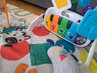 Gimnasio Actividades Baby Einstein