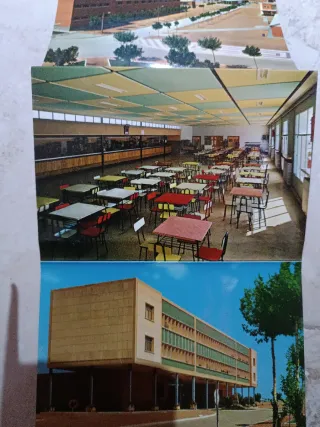 Postal Campamento San Gregorio Zaragoza