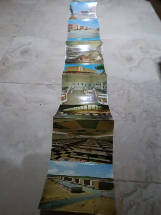 Postal Campamento San Gregorio Zaragoza