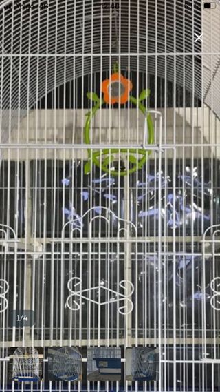 Columpio con flor y espejo para pájaros