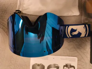 Gafas de Snowboard Dragon NFX