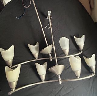 Lámpara de techo moderna 2 tulipas cristal