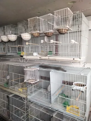 Gabbie di allevamento bianche