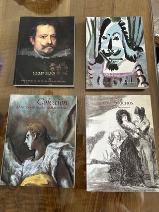 Lote 4 Libros Arte Colección Central Hispano