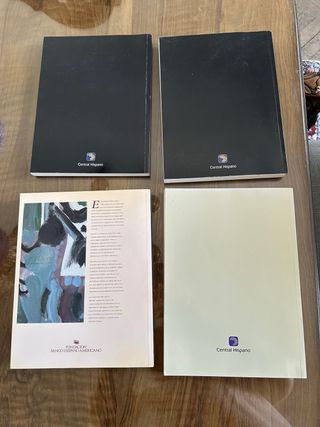 Lote 4 Libros Arte Colección Central Hispano