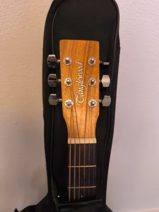 Guitarra Acústica Tanglewood con Funda