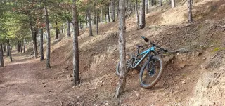 Protector Manetas AVS enduro descenso.