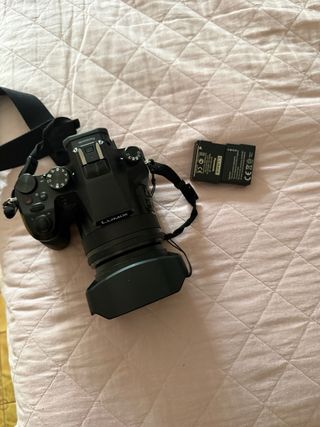 Panasonic Lumix DMC-FZ2000 Manuale Base