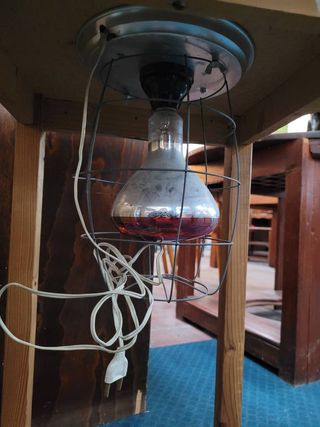 MESA CAMILLA CON LÁMPARA