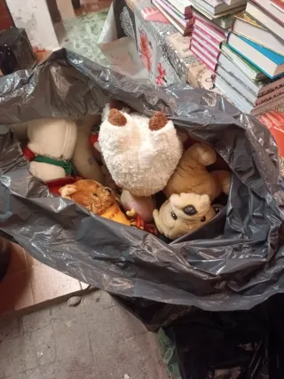 Bolsa de peluches variados