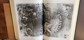 La Llumanera de Nova York