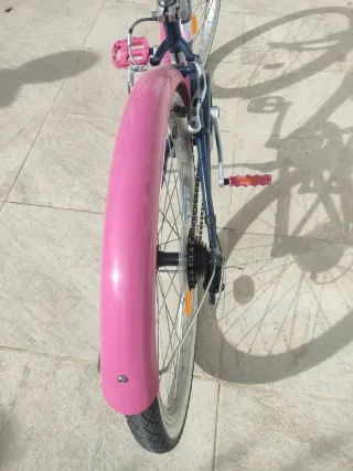 Bicicleta niña/o