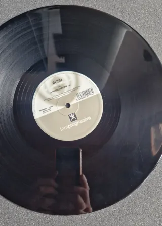 Vinilo Bush - Future Rockola