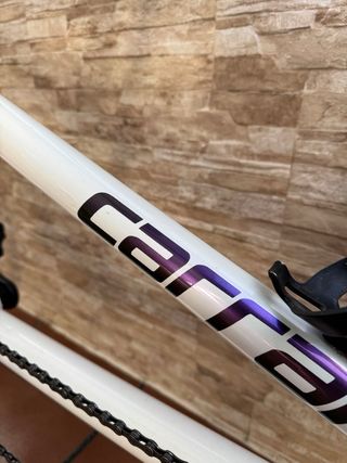 Tándem carretera Carraro