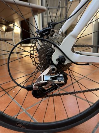 Tándem carretera Carraro