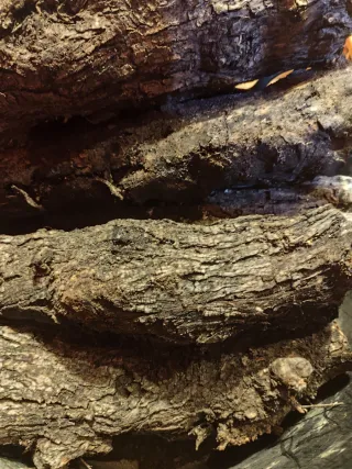 Leña para chimenea o barbacoa