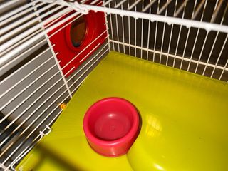 Jaula Hamster/Roedores con Tubos y Accesorios.