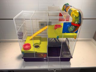 Jaula Hamster/Roedores con Tubos y Accesorios.