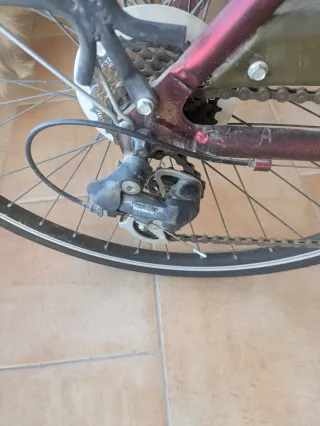 Bicicleta Paseo Mujer