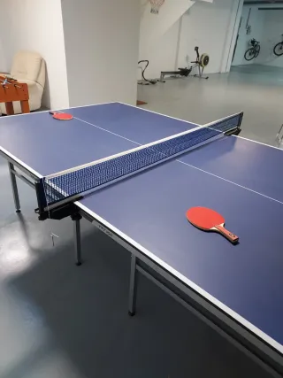 Mesa Ping Pong Profesional. Decathlon. Pongori.