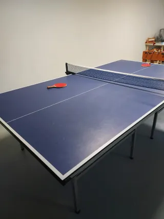 Mesa Ping Pong Profesional. Decathlon. Pongori.