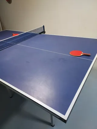 Mesa Ping Pong Profesional. Decathlon. Pongori.