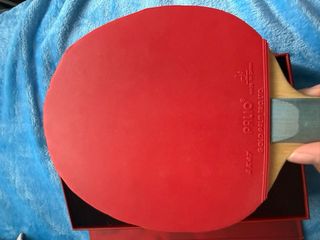 Raqueta Ping Pong DHS Hurricane Long