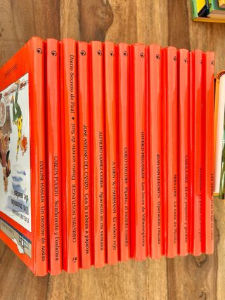 Lote de libros Los cinco y Barco de Vapor