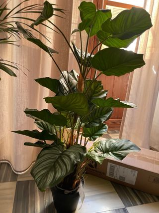 Planta Artificial Hoja Manzano Realista