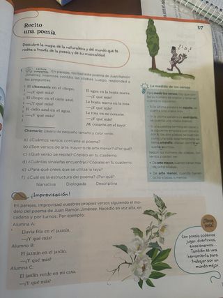 Libro de lengua de 6 primaria 2 trimestre