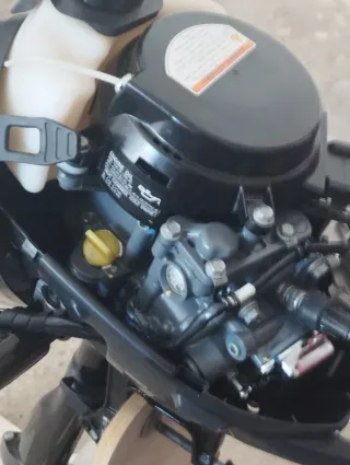 Bote Ozeam + Motor Suzuki