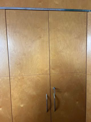 Armario de madera con estantes (buena madera)