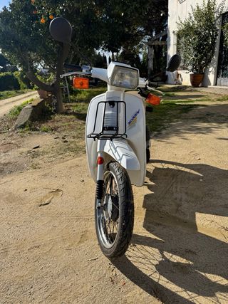 Honda Scoopy SH75 Scooter Automática