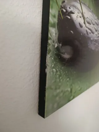 Cuadro Decorativo Piedras y Hojas