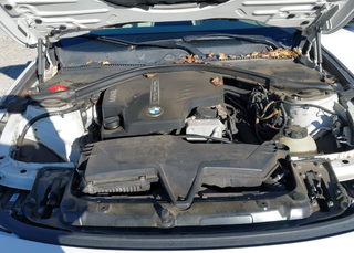 Despiece BMW Serie 3 328i xDrive 2013 Blanco